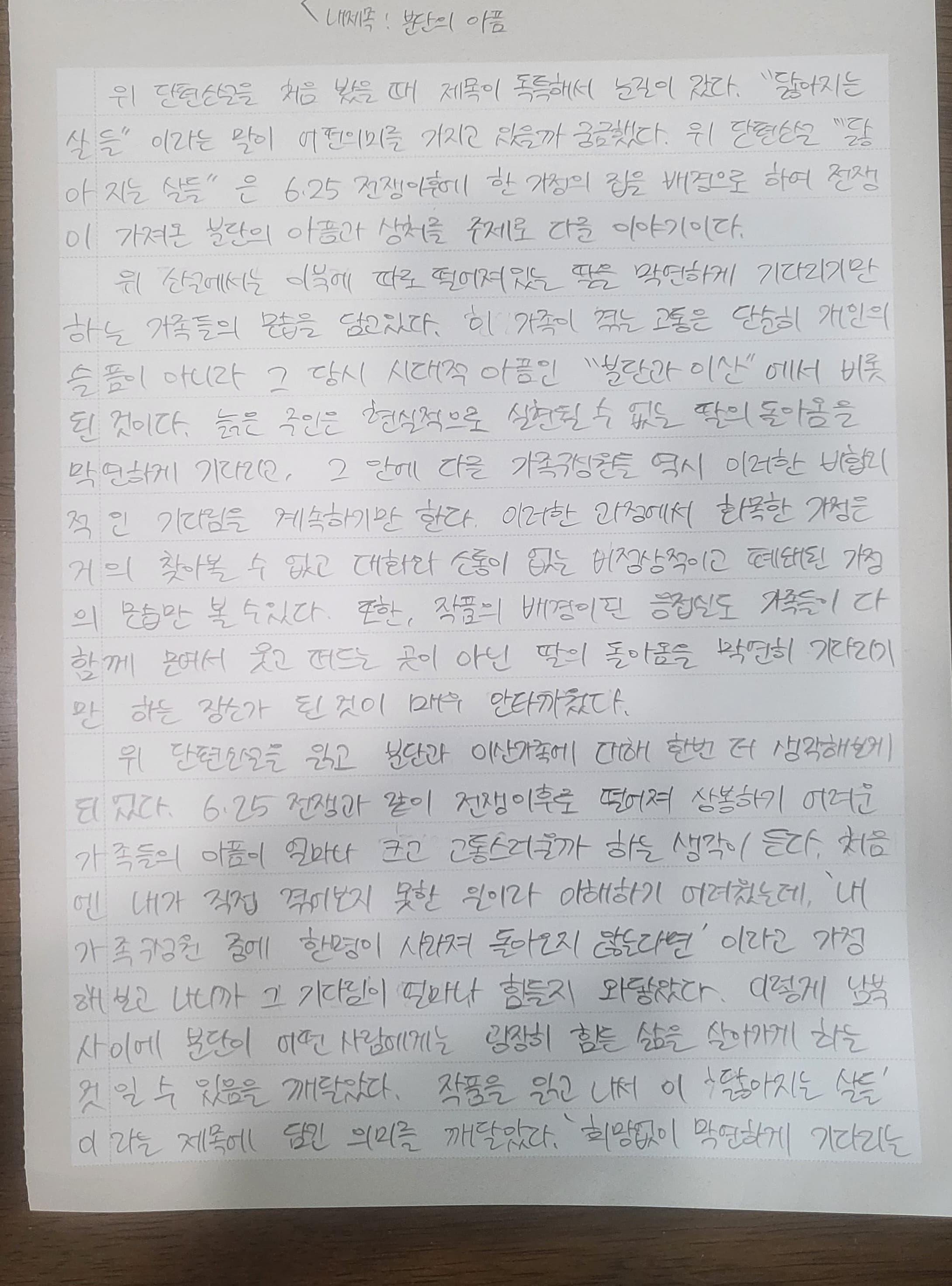 글 사진